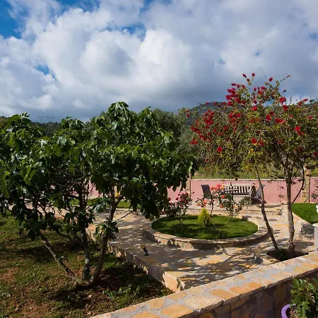 Sofia's Апартаменты Razata