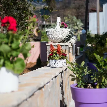 Sofia's شقة Razáta