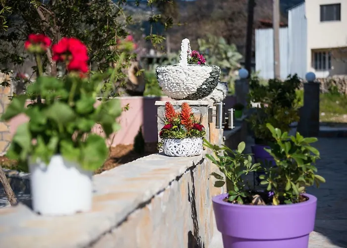 Sofia's Apartment Razata